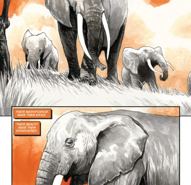 Tuskers-001-001-scaled