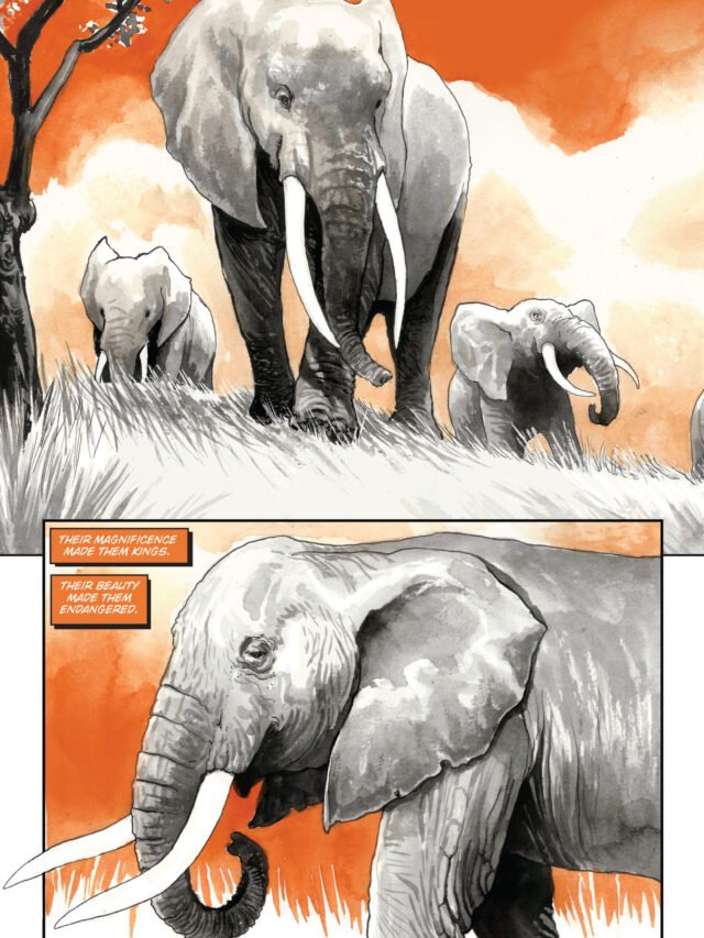 The Far Side: 15 Best Elephant Comics